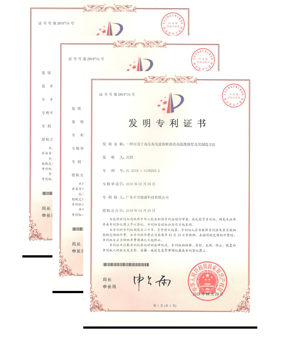 發明專利號